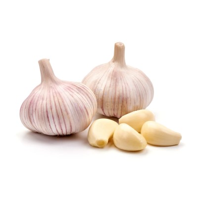 Чеснок крупный 1 кг - купить в 14 км дороги Кемь-Калевала