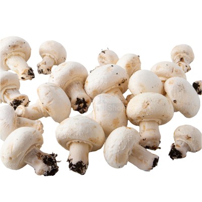 Шампиньоны свежие 500 г - купить в 14 км дороги Кемь-Калевала